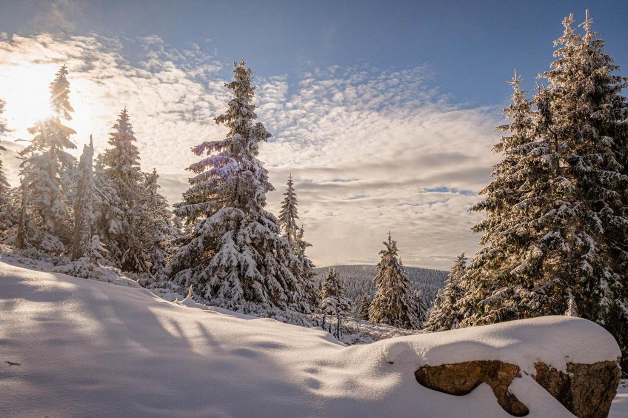 Gorskie Chatki Krysi I Piotrka Perlowy Stronie Śląskie Esterno foto